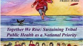 2017 National Indian Health Board: Tribal Public Health Summit