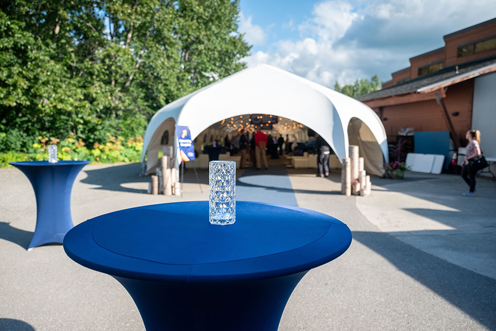ALASKA EVENT SERVICES ⋆ Event Decorator & Rentals ⋆ (907) 345-8789