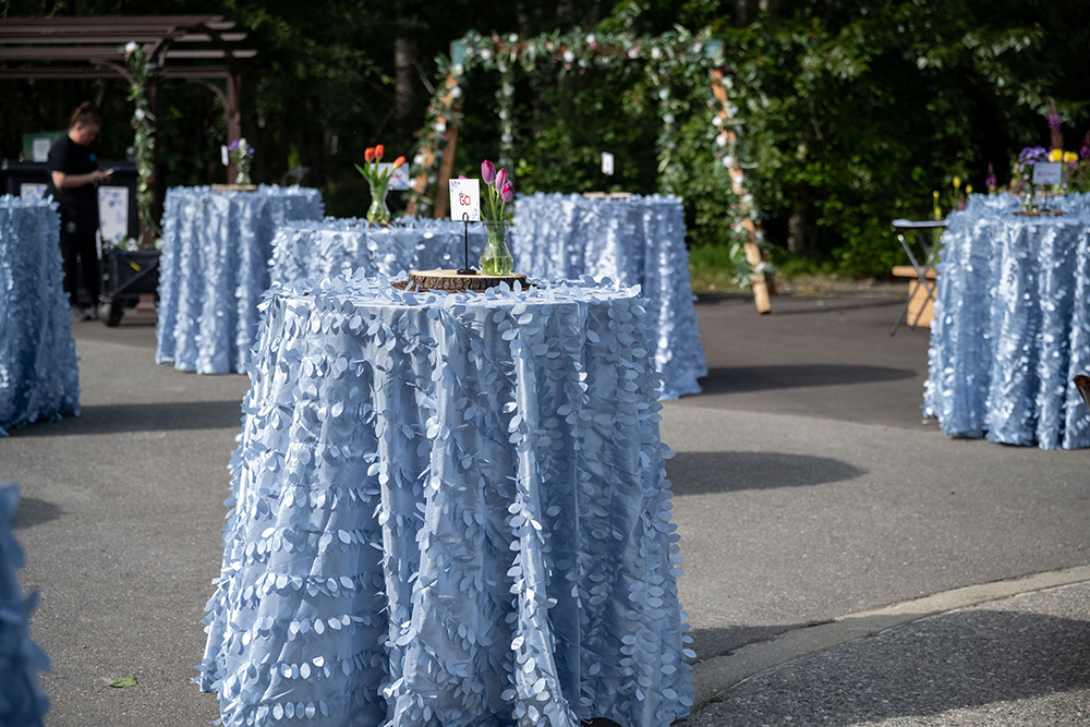ALASKA EVENT SERVICES ⋆ Event Decorator & Rentals ⋆ (907) 345-8789